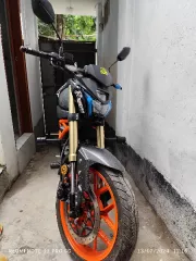 Bolt 165cc